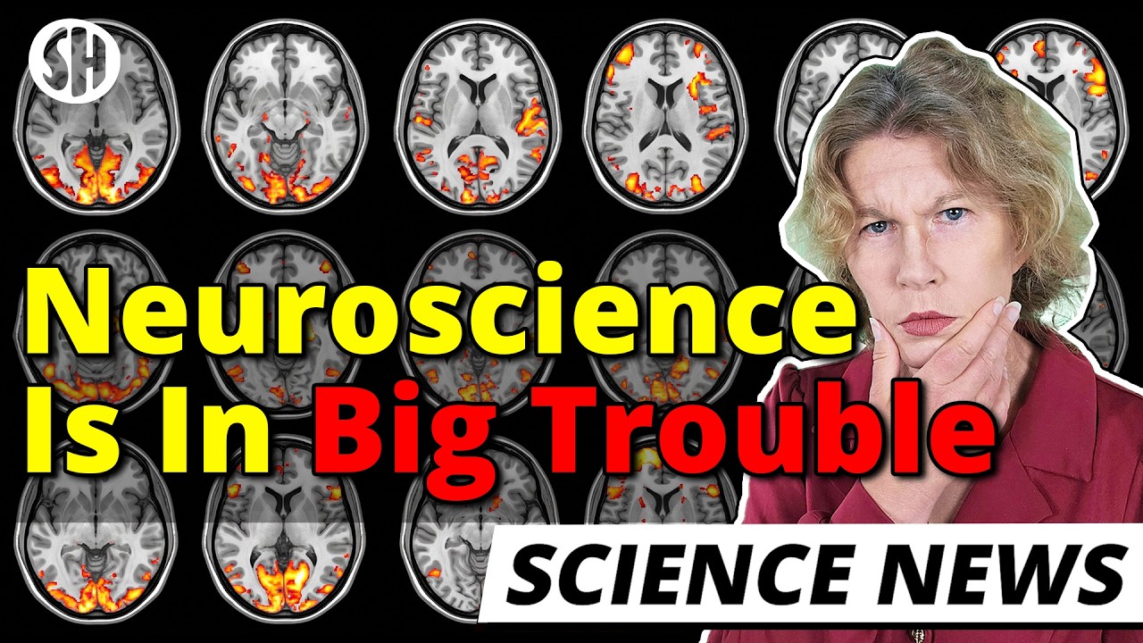Neuroscience is in big trouble