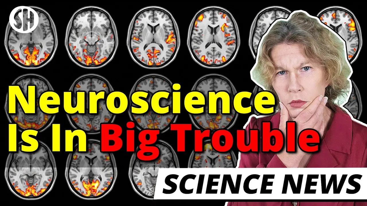 Neuroscience is in big trouble
