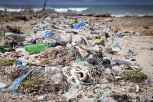 beach pollution